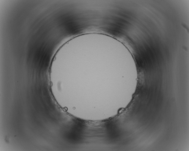 X0000091501150200709131845