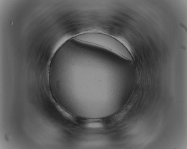 X0000091501151200709131845