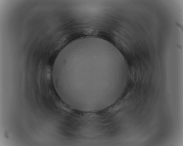 X0000091501154200709131845