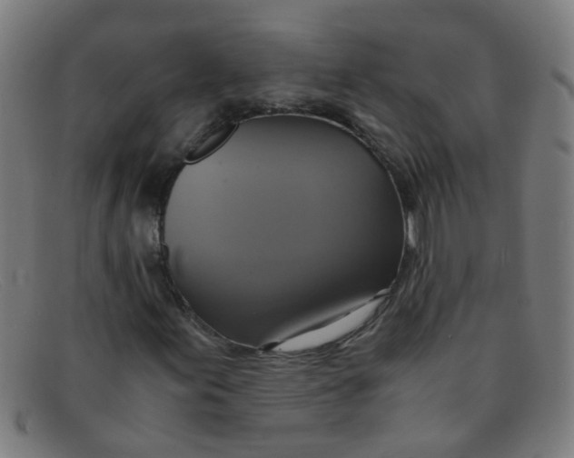 X0000091501155200709131845