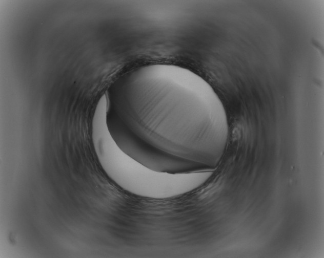 X0000091501156200709131845