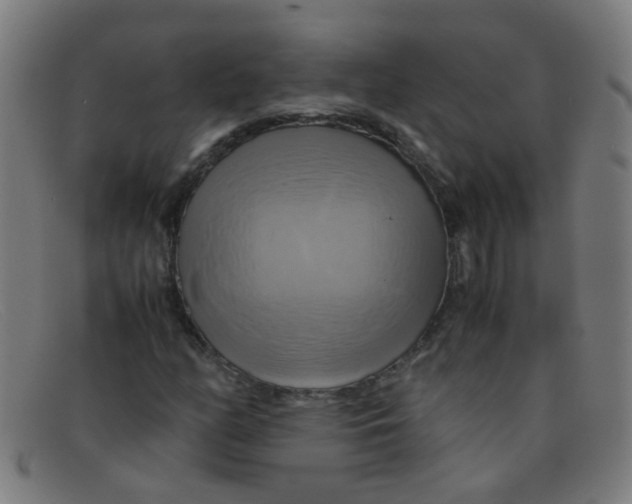 X0000091501158200709131845