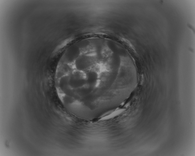 X0000091501159200709131845