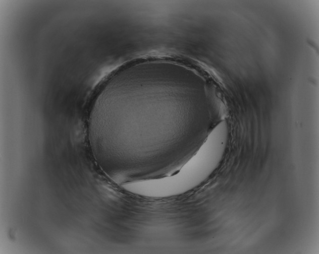 X0000091501160200709131845