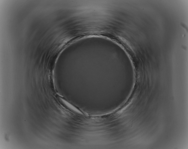 X0000091501161200709131845