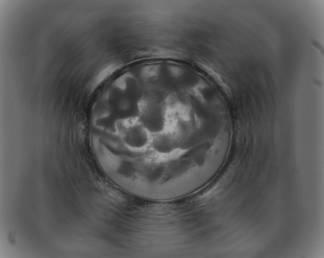 X0000091501163200709131845