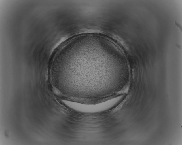 X0000091501165200709131845