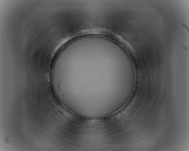 X0000091501166200709131845