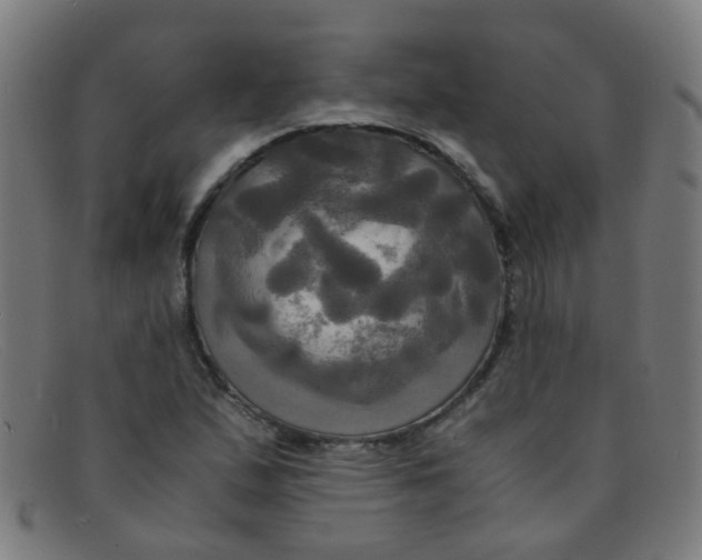 X0000091501167200709131845