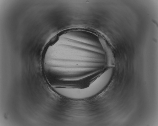 X0000091501168200709131845