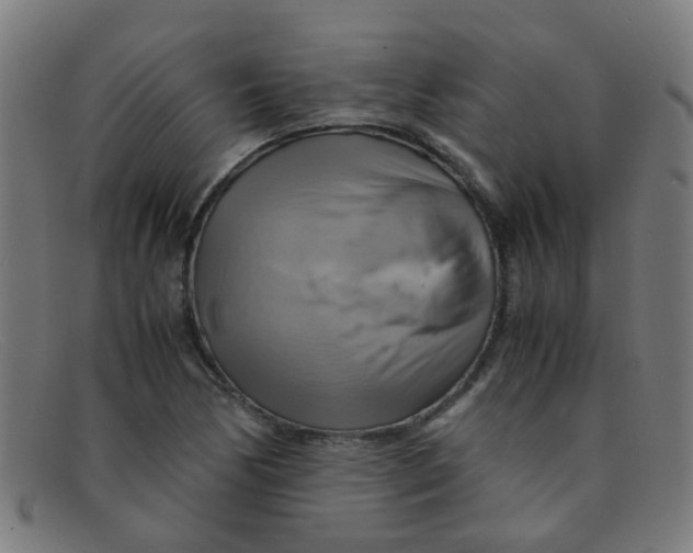 X0000091501170200709131844