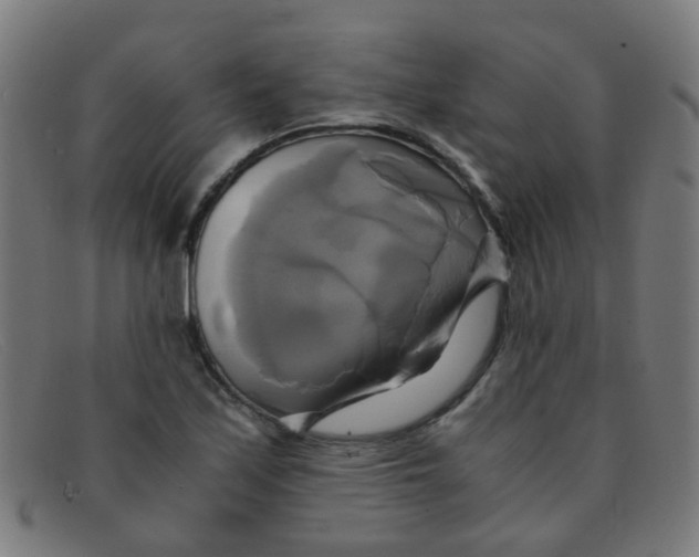 X0000091501171200709131844