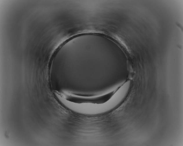 X0000091501173200709131844