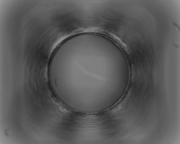 X0000091501174200709131844