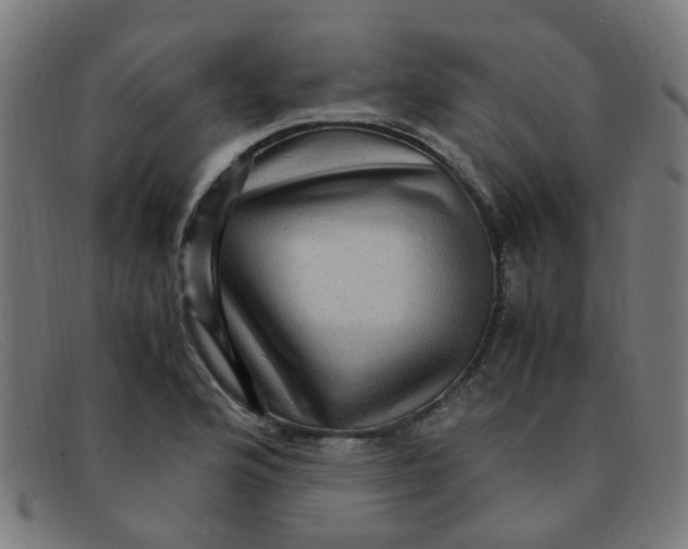 X0000091501176200709131844