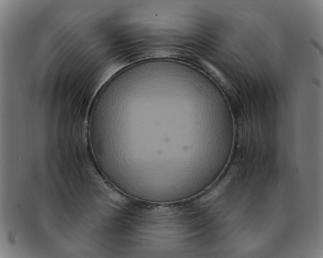 X0000091501178200709131844