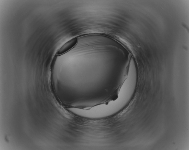 X0000091501179200709131844