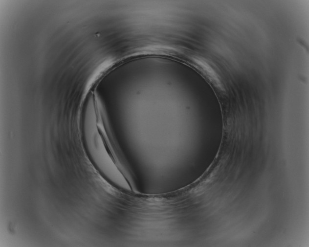 X0000091501180200709131844