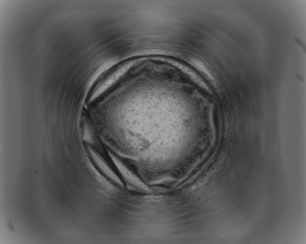 X0000091501181200709131844