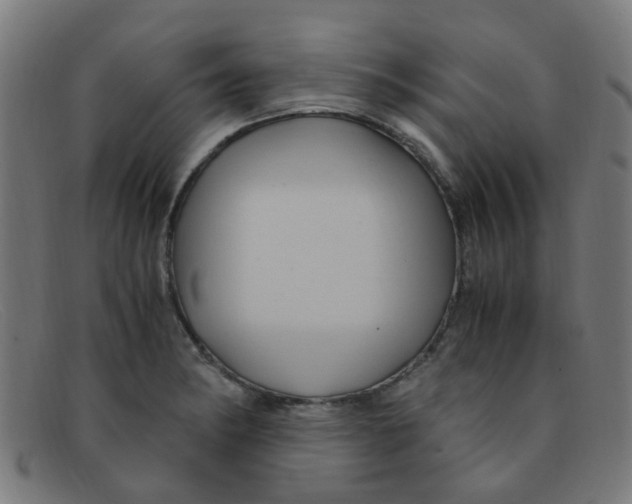 X0000091501182200709131844