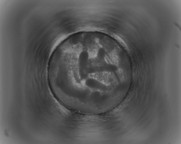 X0000091501183200709131844