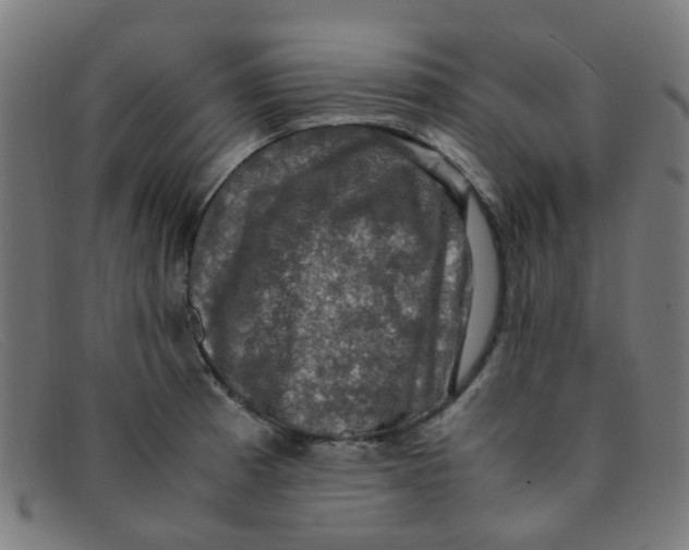 X0000091501185200709131844