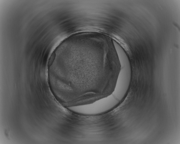 X0000091501188200709131844