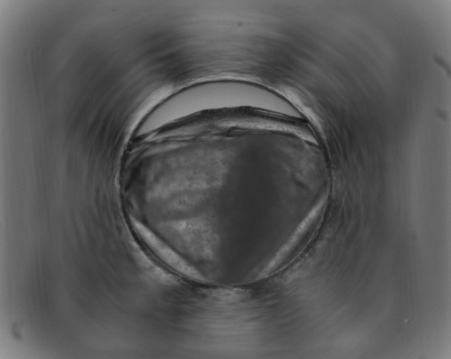 X0000091501189200709131844