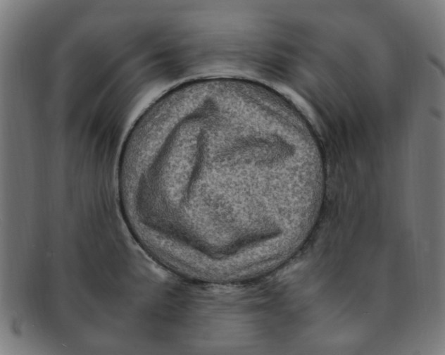 X0000091501191200709131844