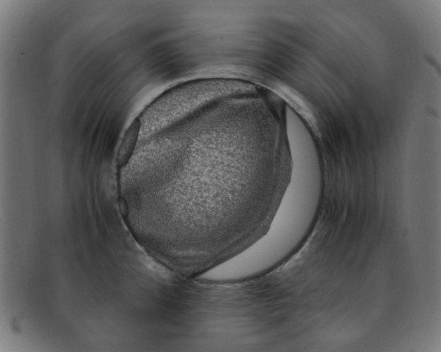 X0000091501192200709131844