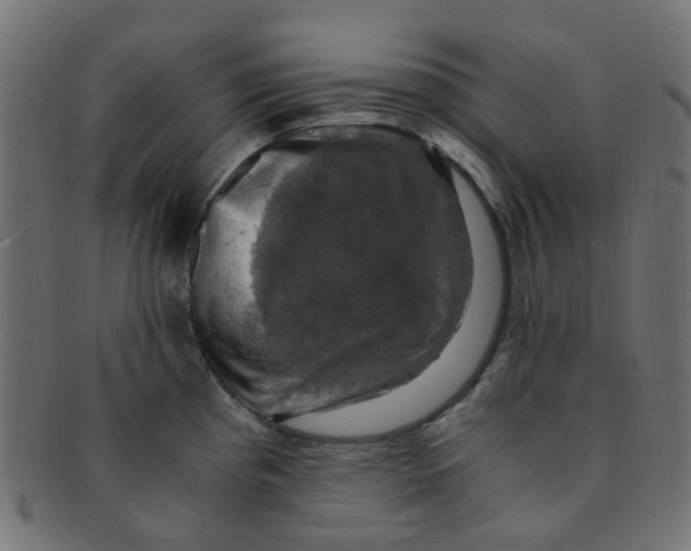 X0000091501193200709131844