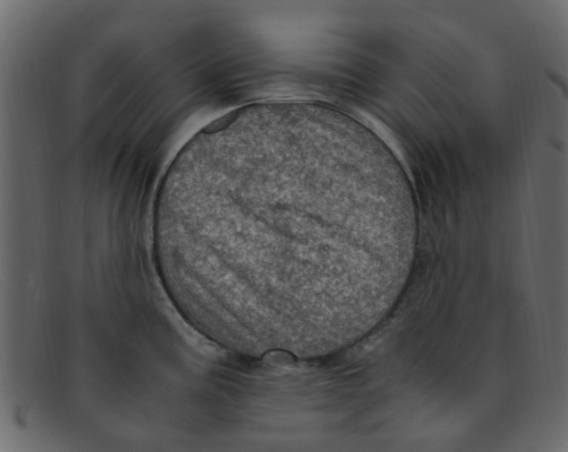 X0000091501195200709131844