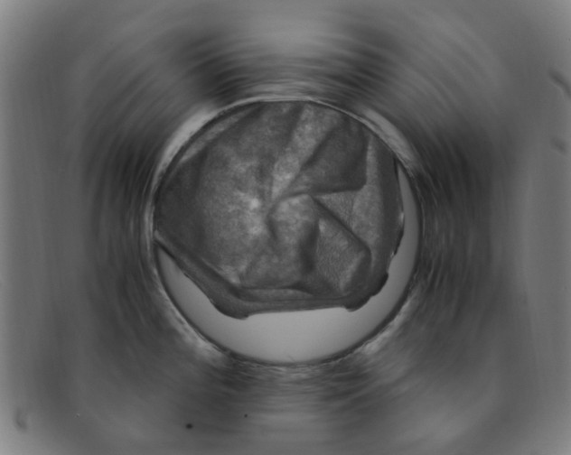 X0000091501196200709131844