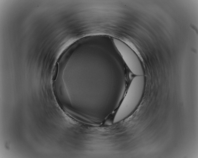 X0000091501197200709131844