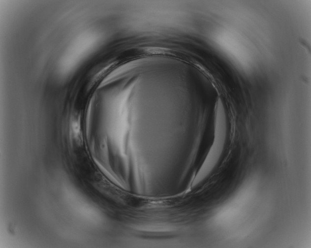 X0000091501198200709131844