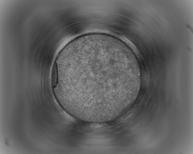 X0000091501199200709131844