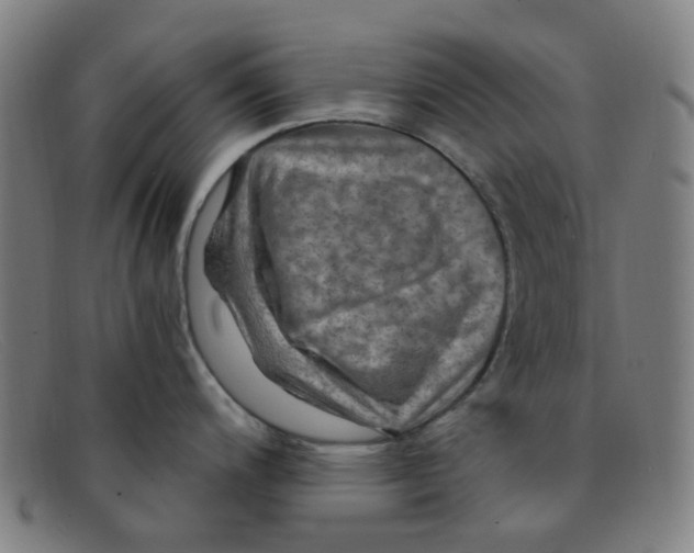 X0000091501200200709131844