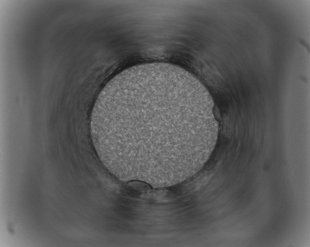 X0000091501201200709131843