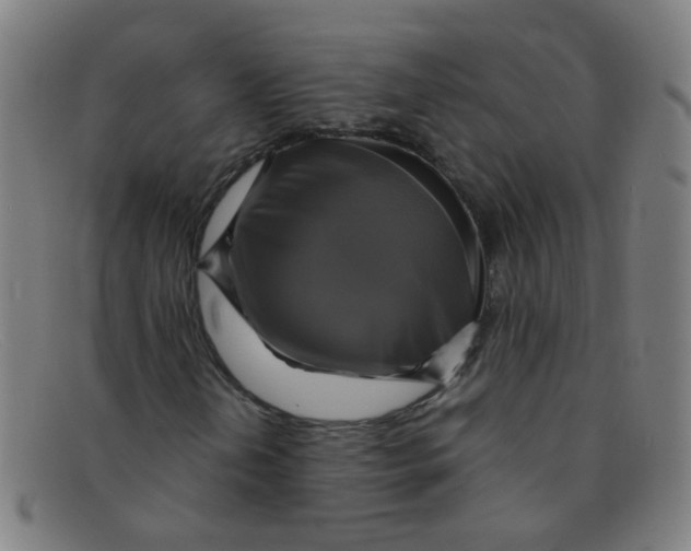 X0000091501202200709131843