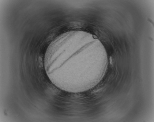 X0000091501203200709131843