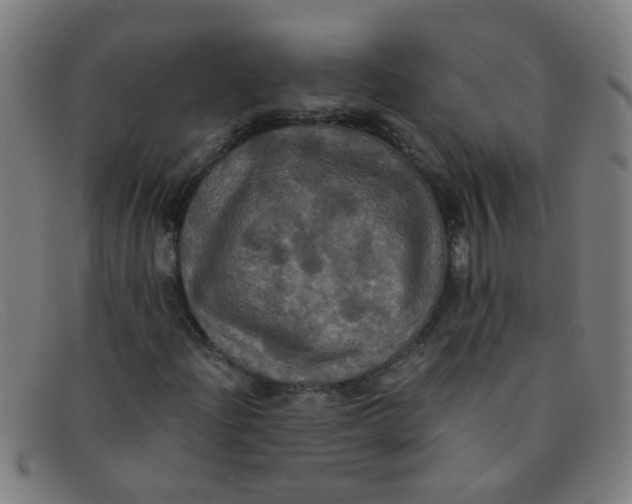 X0000091501204200709131843