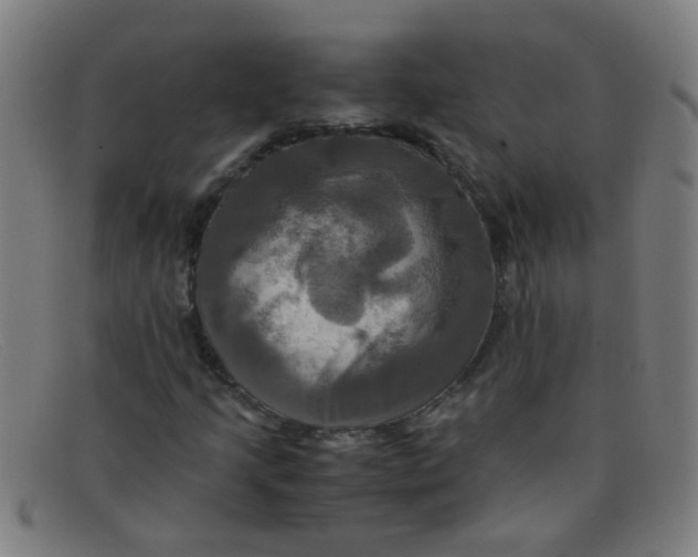 X0000091501205200709131843