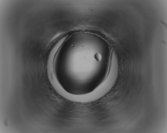 X0000091501206200709131843