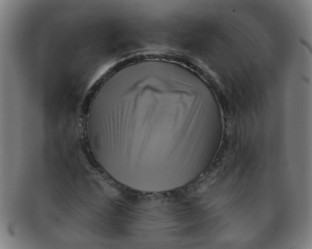 X0000091501208200709131843