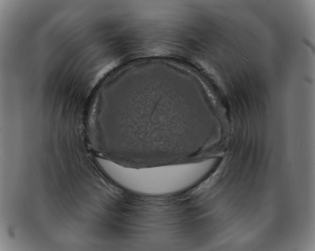 X0000091501210200709131843