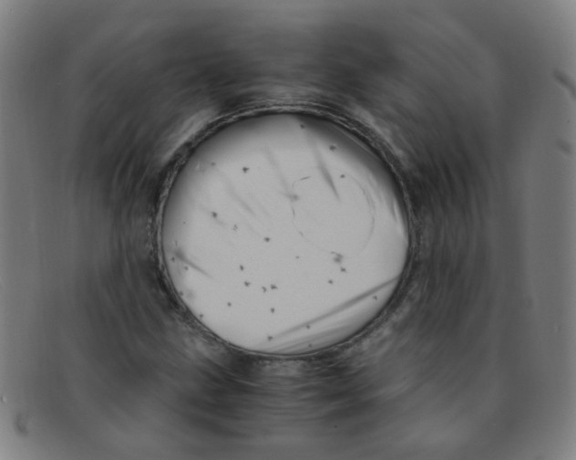 X0000091501211200709131844