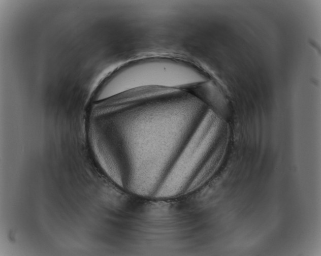 X0000091501214200709131844