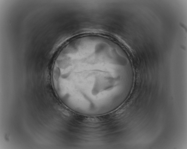 X0000091501215200709131844