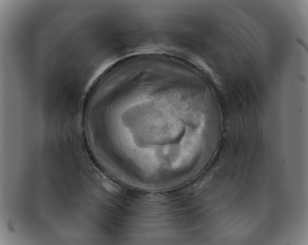 X0000091501216200709131844