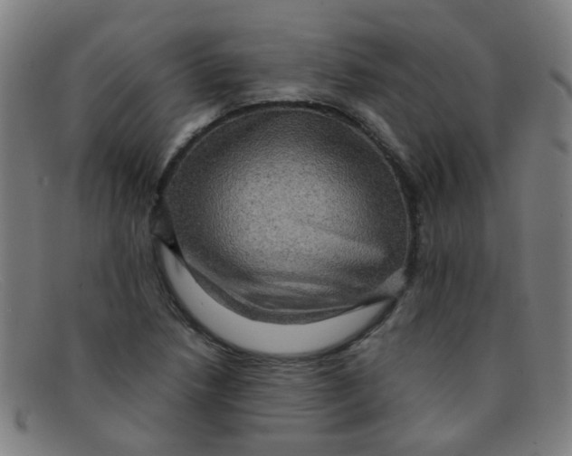 X0000091501218200709131844